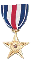 medals silver star 100x200